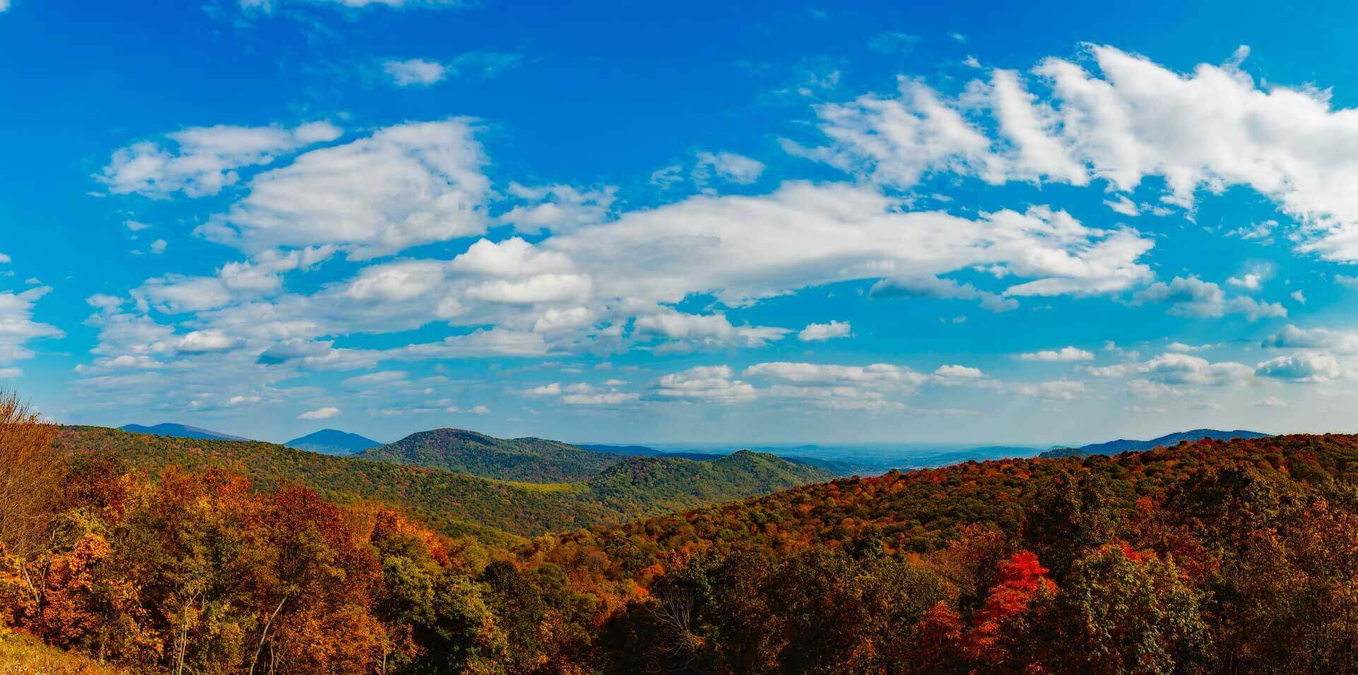 Stressbuster Cabin Rentals North Georgia Mountain Cabin Rentals